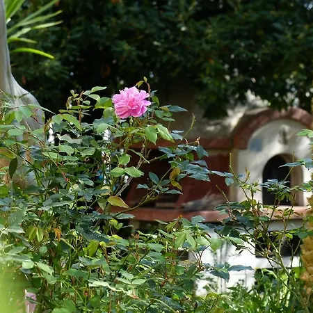 La Villetta Villa Grottammare